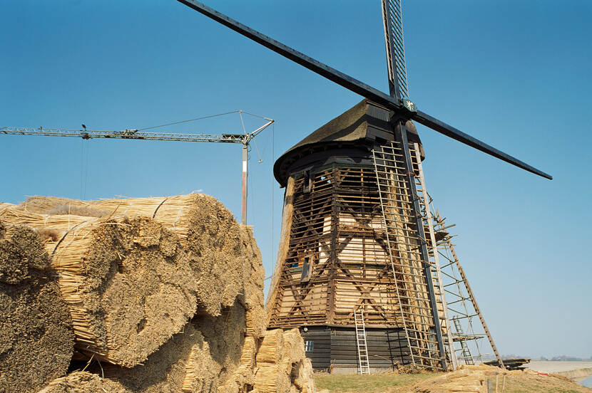 Een molen wordt gerestaureerd met balen riet op de voorgrond