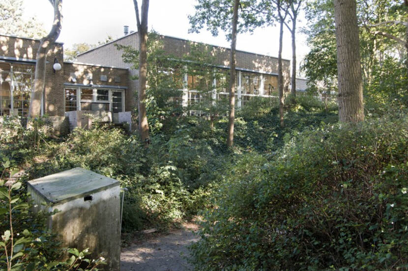 Buitenschool, Den Haag