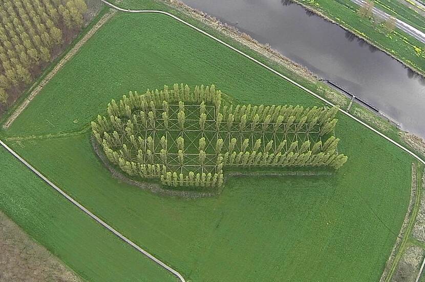 Bovenaanzicht van De Groene Kathedraal in Almere, bos aangelegd in de vorm van een kathedraal. Ontwerp Marinus Boezem