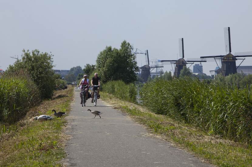 Foto met overzicht van de molens aan Kinderdijk, met fietsers