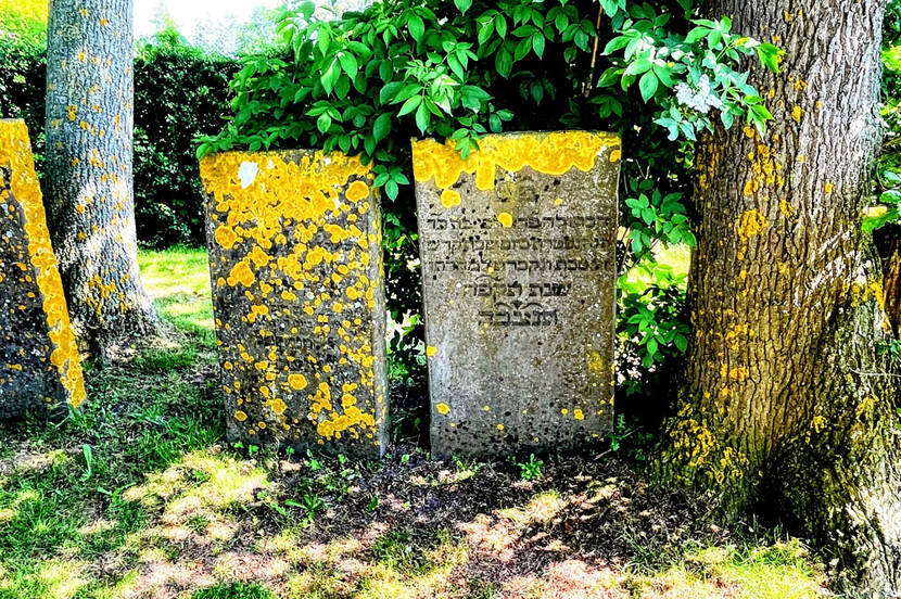 Foto van twee grafstenen op de Joodse Begraafplaats Nijkerkerveen (Gelderland), bekleed met mos