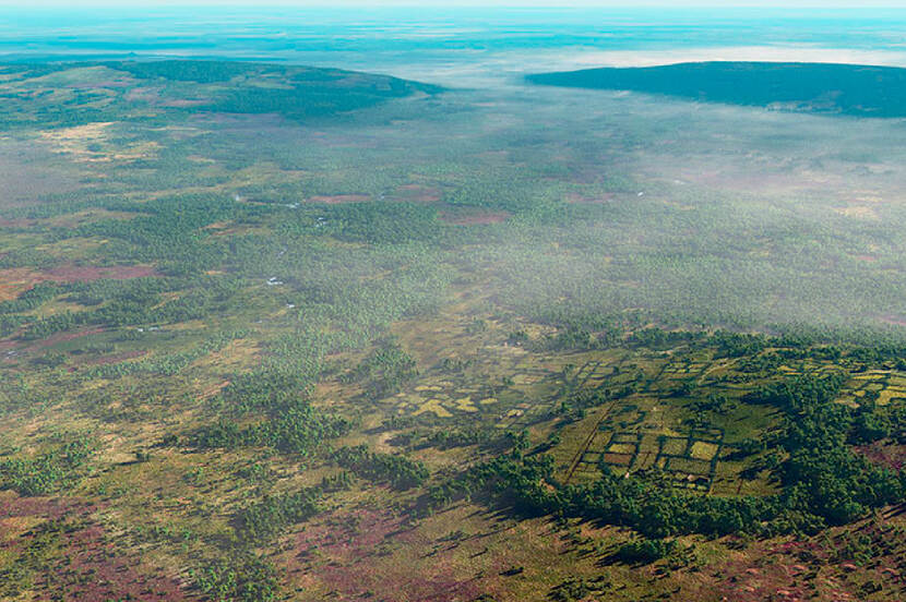 Impressie van het landschap en de vegetatie in Twente rond AD 200