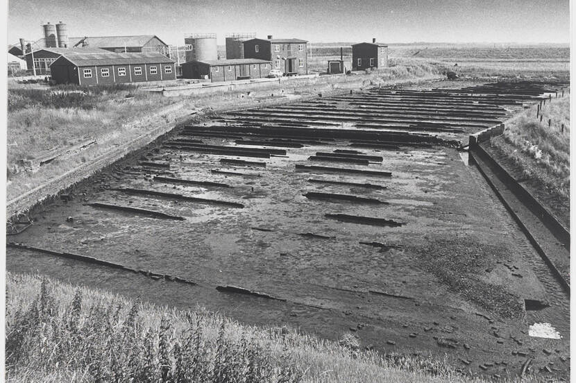 De voormalige grachten van de Waterschans die als oesterputten worden gebruikt.