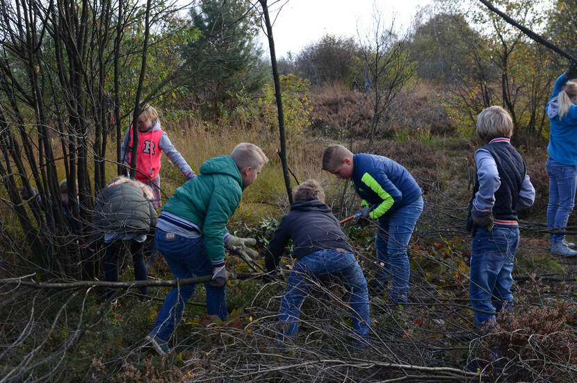 Scholieren helpen mee om de heide te ontdoen van ongewenste opgroei tijdens de Natuuropschoondag Eder Heide. Buurtschap Ede en Veldhuizen heeft de erfrechten op de heidevelden rond Ede in eigendom van het Rijksvastgoedbedrijf.