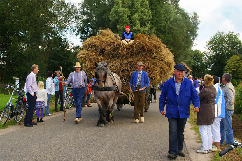 Stro halen tijdens de Cultuurhistorische optocht Saasveld