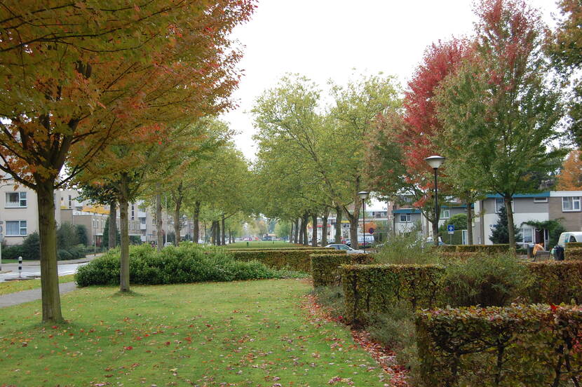 Een stukje grasveld met daaromheen heggen en bomen