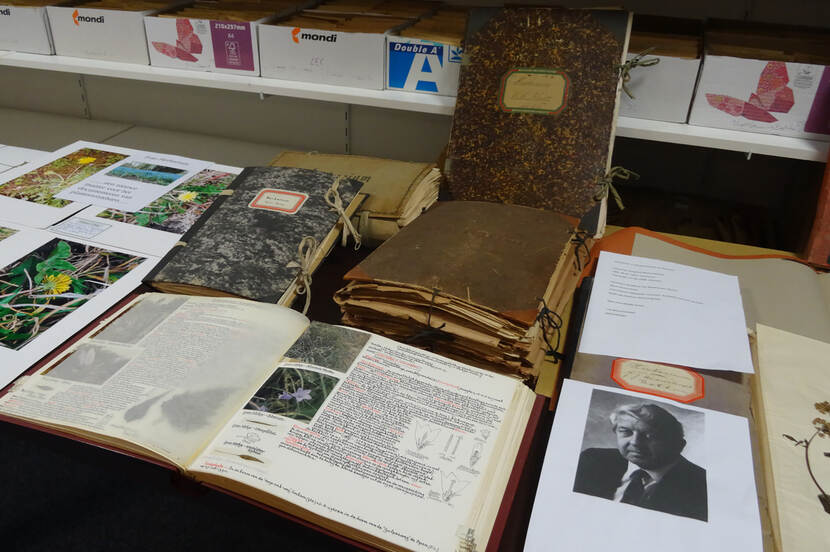 Gedeelte oude herbarium collecties in Herbarium Frisicum