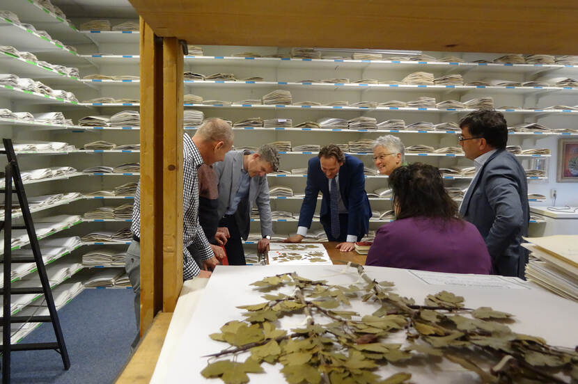 Collectiezaal Herbarium Frisicum