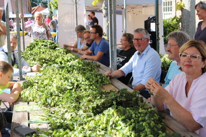 Bij de oogstfeesten plukken buurtbewoners na het losknippen van de hopstengels aan lange tafels de hop-bellen. Een oogstdag eindigt met een gezamelijke maaltijd met muziek en uiteraard een lekker biertje.