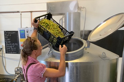 De lokale brouwerij Ramses Bier is de enige brouwerij in Nederland die verse hop verwerkt en ligt om de hoek van Altena.