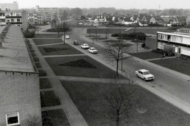 Zwart-wit foto van een rustige wijk met veel groen