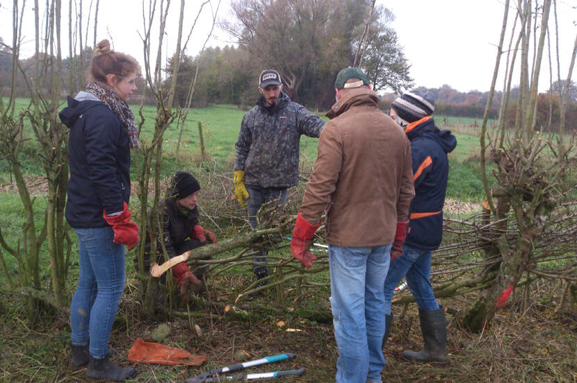 Druk overleg in het vlechtteam onder leiding van een jonge vlechtkampioen.