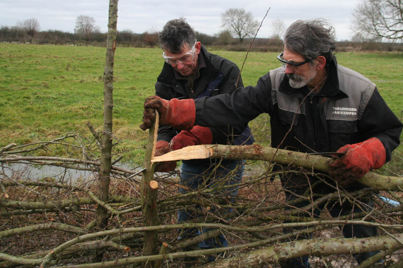 De laatste hand wordt gelegd aan het vlechtwerk. De staanders wordt ingezaagd in ingevlochten aan de bovenkant.