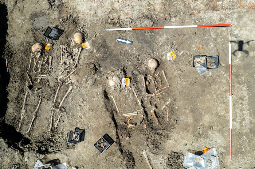 Bovenaanzicht van een aantal van de gevonden skeletten in Rottum.