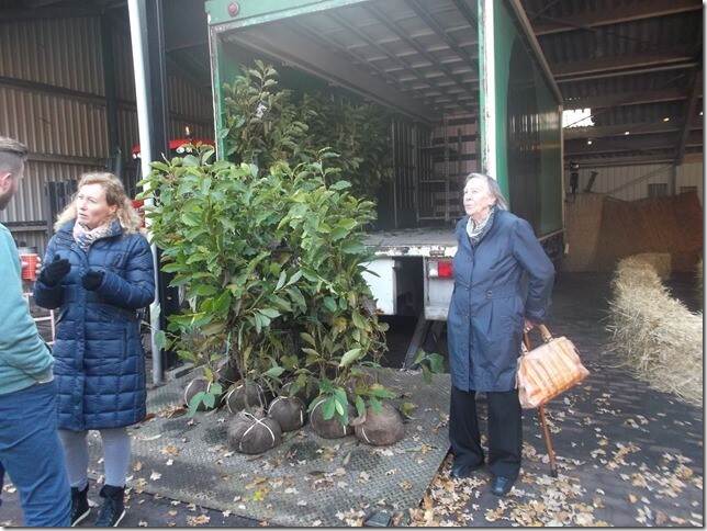 Mensen staan te praten naast een vrachtwagen waar een magnolia naast staat