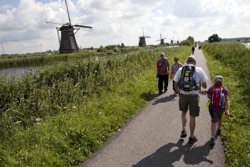 Toeristen lopen langs de molens in Kinderdijk.