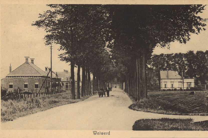 Historische ansichtkaart met straatbeeld van Weiwerd