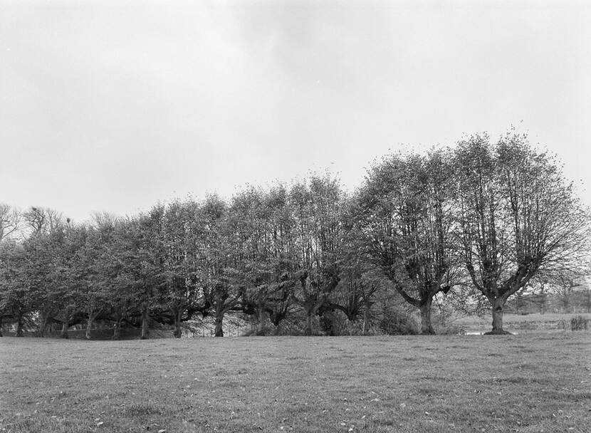 Zwart-wit foto van een houtsingel