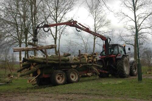 Tractor met aanhangwagen waarop boomstammen worden vervoerd