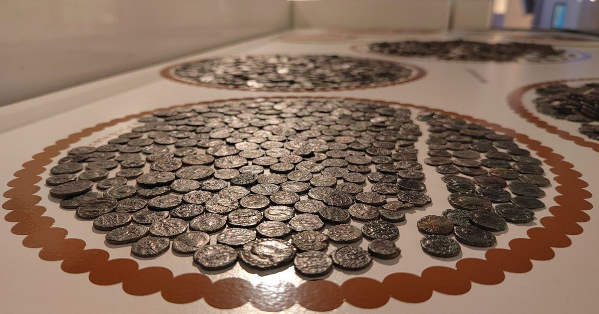 Romeinse muntvondst van Buggenum onthuld in Limburgs Museum