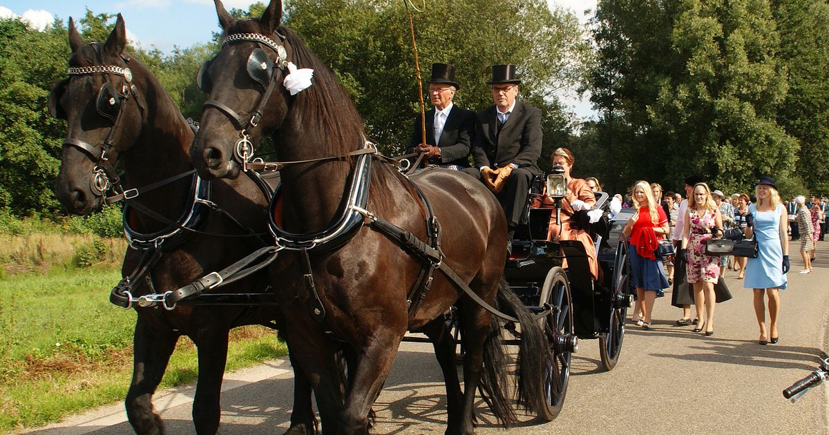 Cultuurhistorische optocht Saasveld - verbindend element in Twents dorpsleven