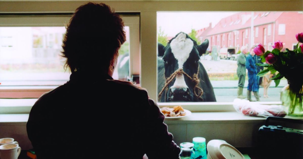 Polder Mastenbroek – natuur zorgt voor verbinding